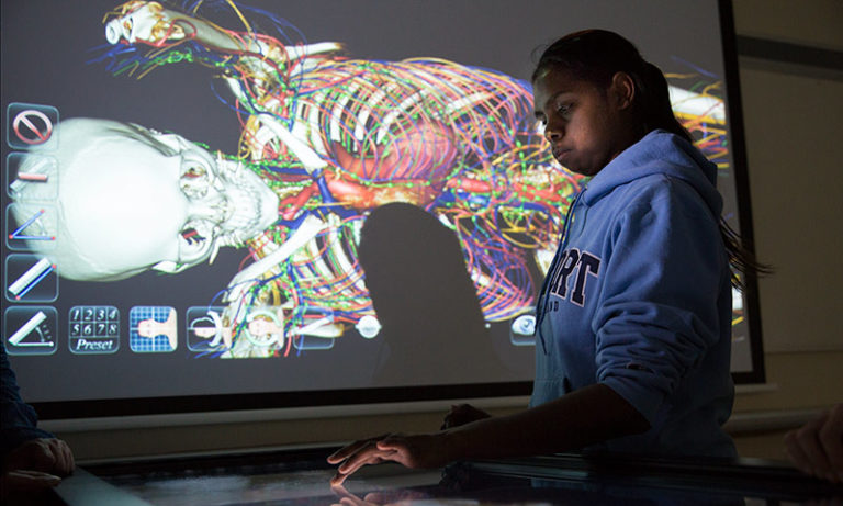 Student using an interactive medical display