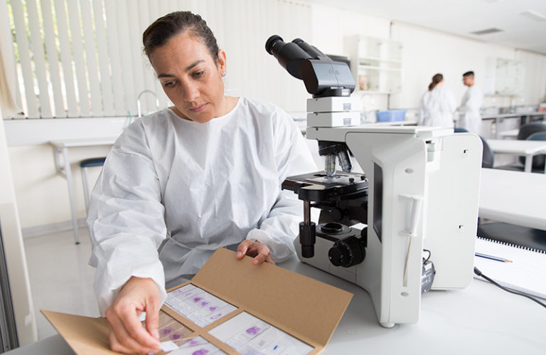 A researcher examining medical samples